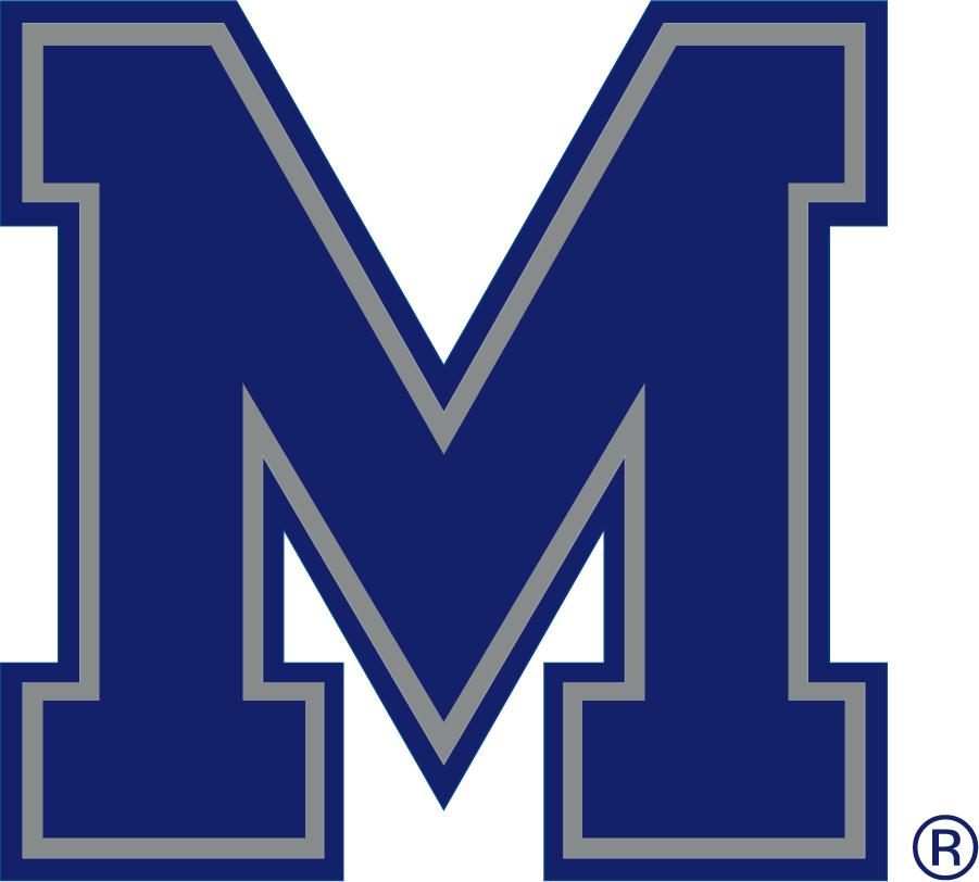 Memphis Tigers 2003-2021 Secondary Logo v2 DIY iron on transfer (heat transfer)